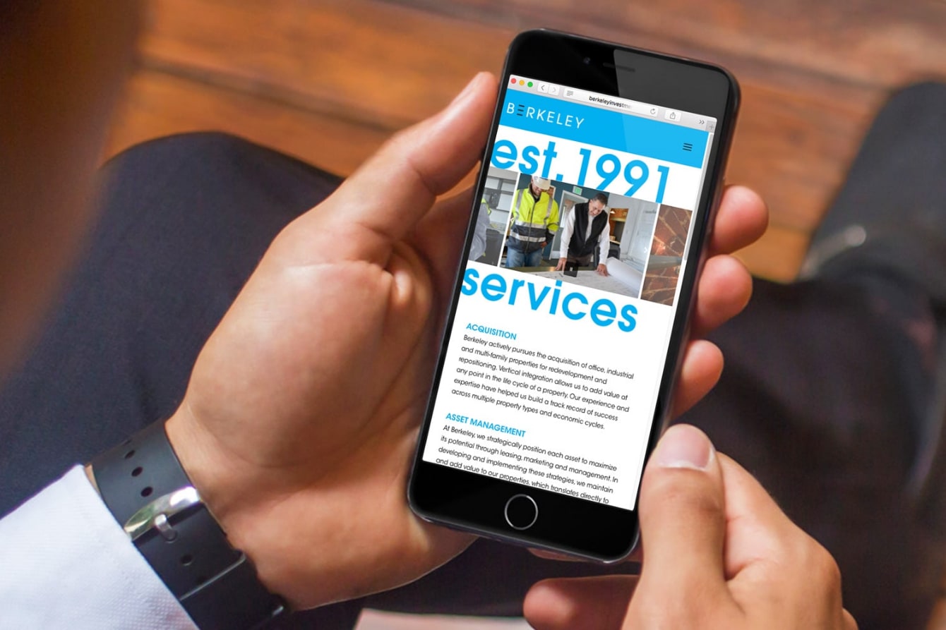 Berkeley Investments - Website Development